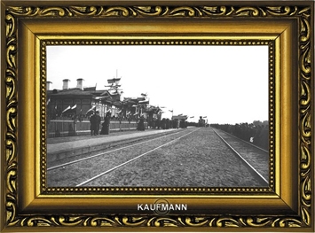 Встреча первого поезда из Санкт-Петербурга на станцию «Кашин», 1898 г. Фотограф: В.А. Колотильщиков. 